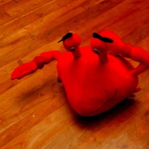 This creature came from the sea & he is a puppet. He is in very good condition.